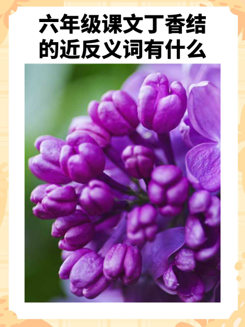 奇怪的近义词是什么